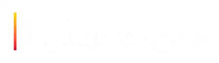 Nyhetsdagen logotyp