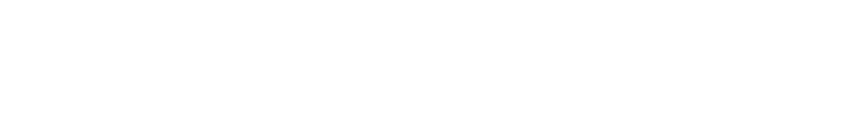 SVT Nyheter logotyp